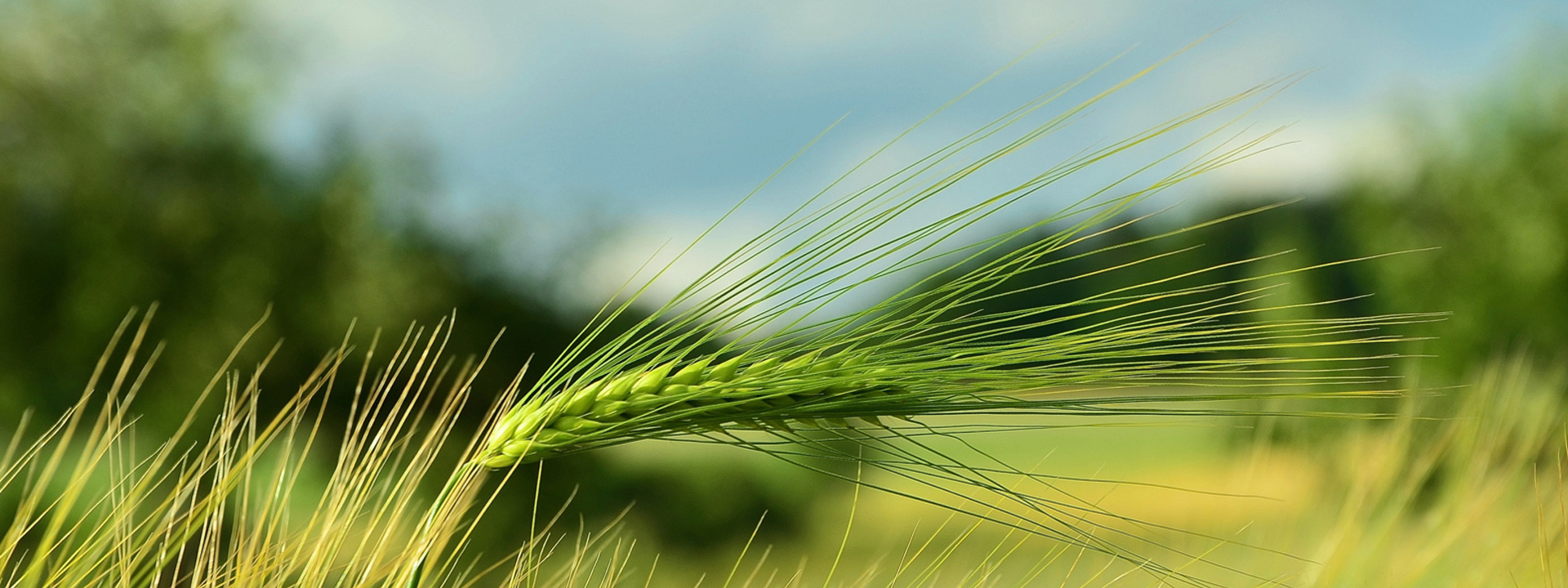 首頁頂部輪播圖2